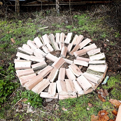 Firewood logs arranged in a circular pattern on the ground with vegetation in the background.