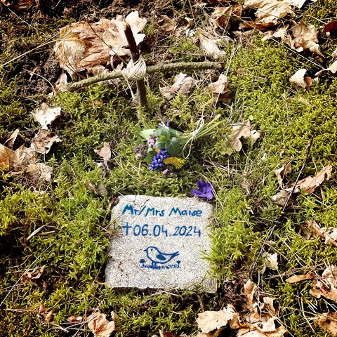 A small memorial stone set among moss and forest floor with the inscription "Mr/Mrs Małe" and the date "06.04.2024", along with a drawn bluebird and a heart, accompanied by purple and yellow flowers.