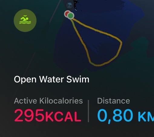 Screenshot of a fitness tracking app showing an open water swim. It displays a map with a yellow path, 295 active kilocalories burned, and a distance of 0.80 kilometers.