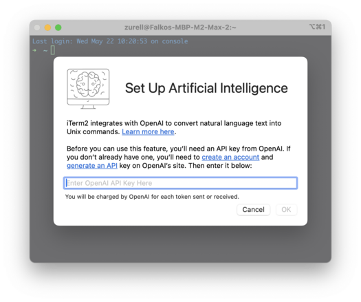 Screenshot of the Setup screen for iTerm2 AI feature "Codecierge". The screen shows an input field for an OpenAI API Key and some explanation for the setup.