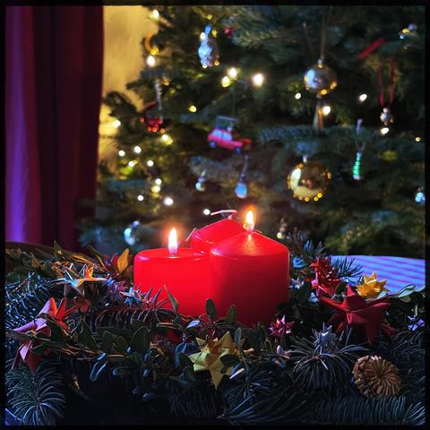 Ein Adventskranz mit zwei roten Kerzen. Im Hintergrund ein geschmückter und beleuchteter Weihnachtsbaum