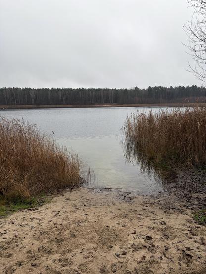 Eine Badestelle an einem Waldsee. Links und rechts Schilf. Der Himmel bedeckt und grau. 
