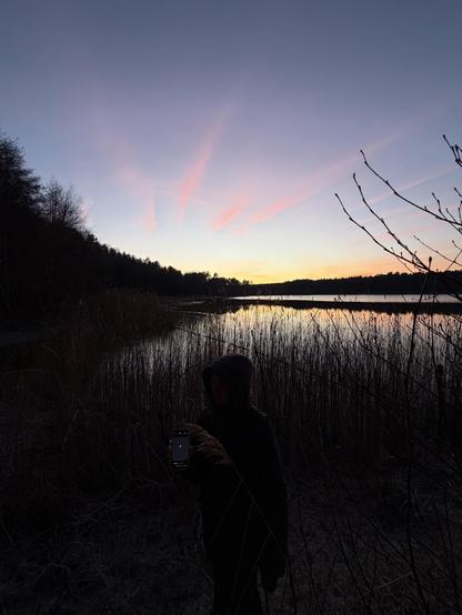 Sunset over a small lake in the forest. Some black silhouettes of reed in the foreground. The sky is bluish turning orange with cloud traces of pink towards the top of the treeline. A faint black silhouette of a person in the foreground. 