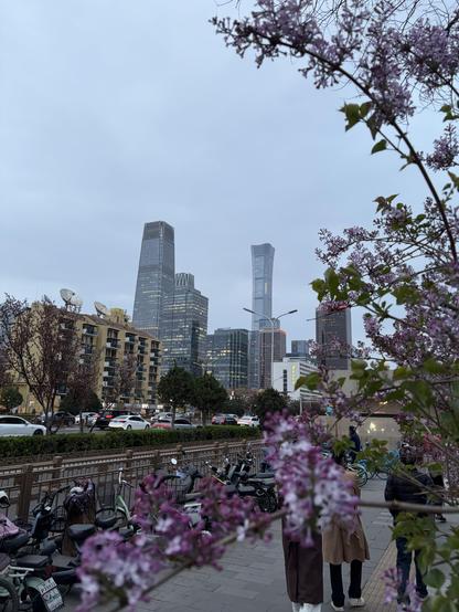 Two people walking on a sidewalk next to a row of parked scooters and flowering trees, with skyscrapers in the background.