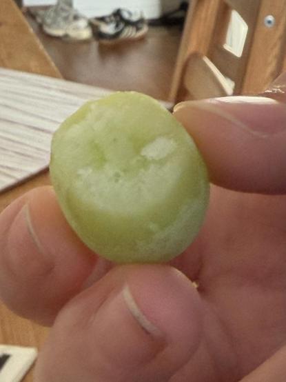 A person holding a green grape between their thumb and index finger. The grape is frozen and an part has been bitten off already