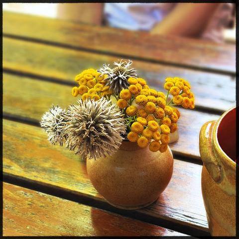 Eine kleine bauchige Vase auf einem Tisch. Darin gelbe und weisse Blüten von lokalen Sommerpflanzen. 