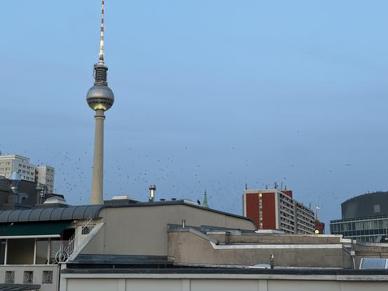 A cityscape featuring the Berlin TV Tower in the background, surrounded by various buildings under a blue sky. Birds are scattered throughout the scene, flying above the rooftops.