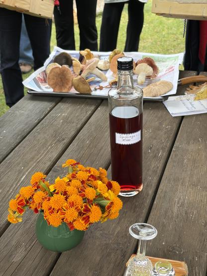 Ein Holztisch mit einer kleinen Vase mit orangenen Blumen im Vordergrund. Direkt dahinter eine Flasche mit einer weinroten Flüssigkeit. Ein kleines weißes Label zeichnet es als Spillingslikör aus. Im Hintergrund, leicht unscharf ein Tablett mit verschiedenen Waldpilzen. 